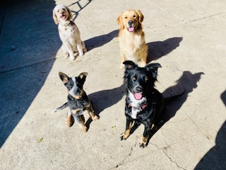 Daycare fun activities