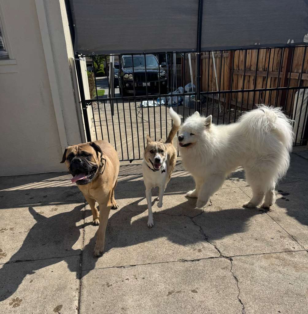 Daycare activities