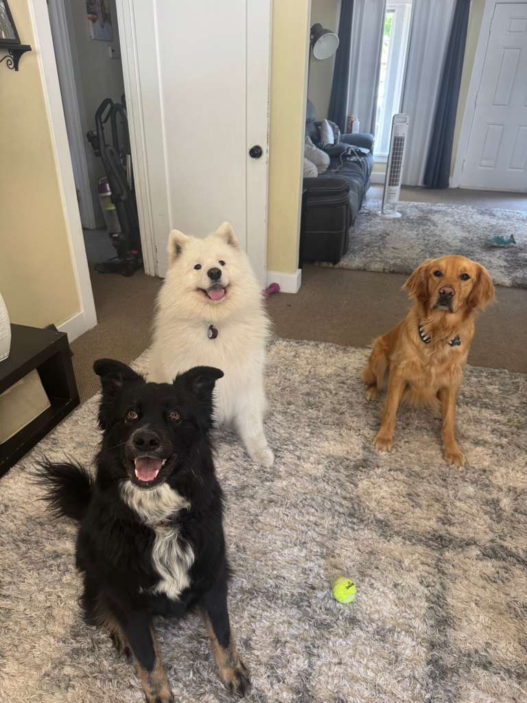 Daycare fun experience